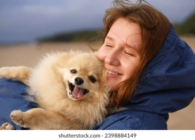 Pomeranian Puppy Review